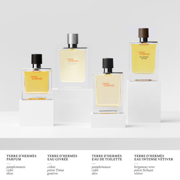 Terre d'Hermès Eau Givrée Hermès