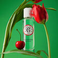 Gingembre Rouge Roger&Gallet