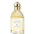 Aqua Allegoria Bergamote Calabria Guerlain