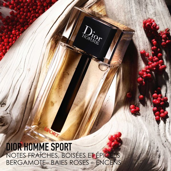 Dior Homme Sport Dior