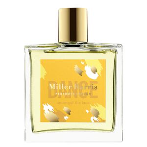 Dance Amongst the Lace