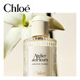 Atelier des Fleurs - Jasminum Sambac Chlo&eacute;