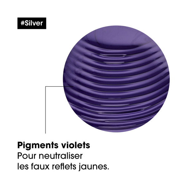 Silver l'oréal professionnel