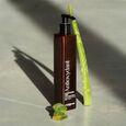 Les Essentiels V&eacute;g&eacute;talement Provence