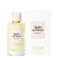 Atelier des Fleurs - Immortelle Chlo&eacute;