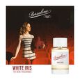 White Iris Borsalino
