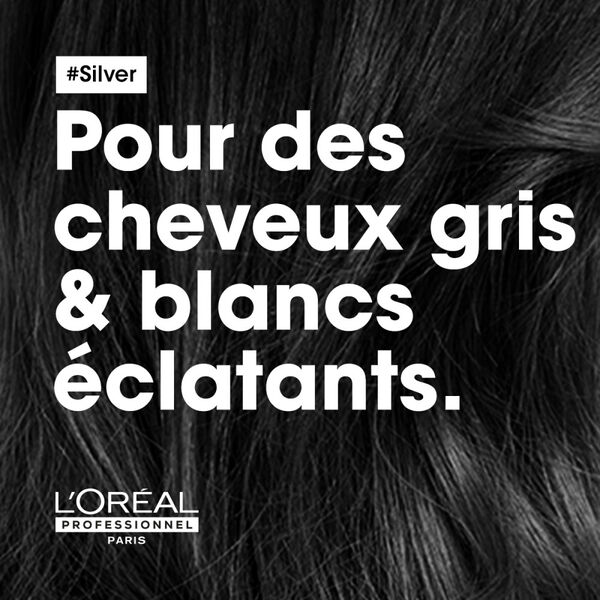 Silver l'oréal professionnel