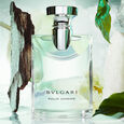 Bvlgari Pour Homme Bvlgari