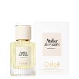 Atelier des Fleurs - Immortelle Chlo&eacute;
