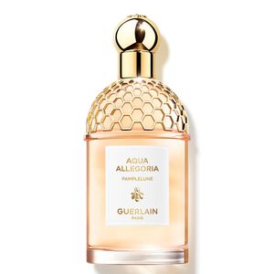 Aqua Allegoria Pamplelune