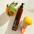 Les Essentiels V&eacute;g&eacute;talement Provence
