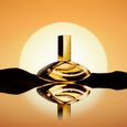Euphoria Solar Elixir Calvin Klein