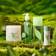 Green Tea Elizabeth Arden