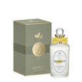 Quercus penhaligon's