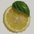 Basilic Citron What Matters