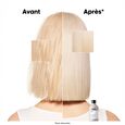 Silver l'or&eacute;al professionnel