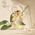 Le Temps des R&ecirc;ves Goutal Paris