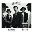 Black Iris Borsalino