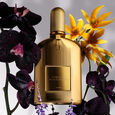 Black Orchid Tom Ford