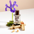 Santal Solinotes