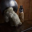 Mortel Noir Trudon