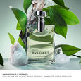 Bvlgari Pour Homme Bvlgari