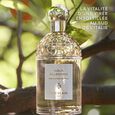 Aqua Allegoria Mandarine Basilic Guerlain