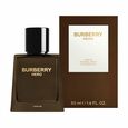 Hero Burberry