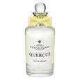 Quercus penhaligon's
