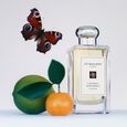 Lime Basil & Mandarin Jo Malone London
