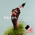 Paradoxe Prada