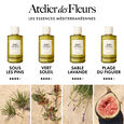 Atelier des Fleurs - Plage du Figuier Chlo&eacute;