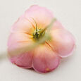 Atelier des Fleurs - Rosa Damascena Chlo&eacute;