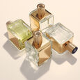 Oud Elixir Veronique Gabai