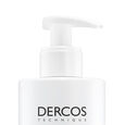 Dercos Technique Vichy