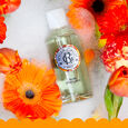 Bois d'Orange Roger&Gallet