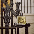 Feuilles de Tabac Miller Harris